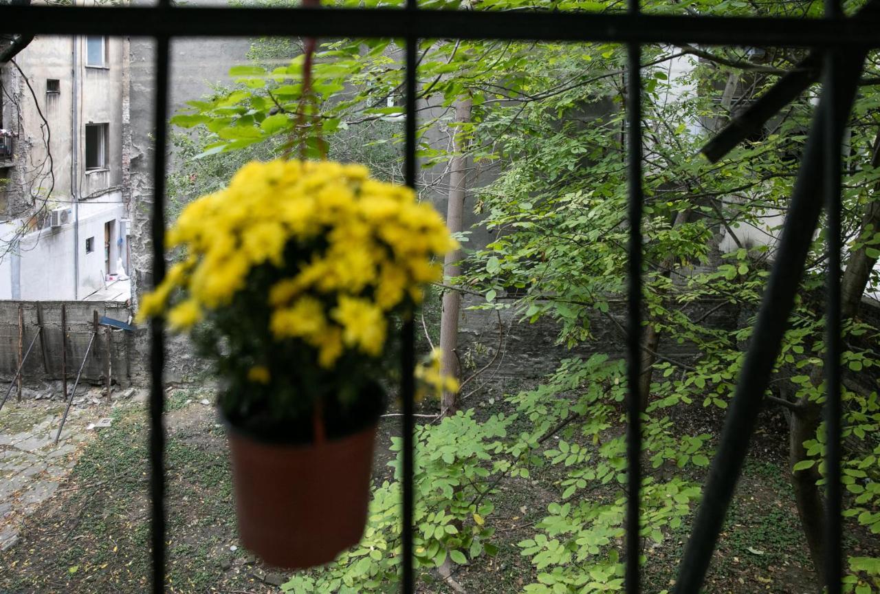 Natalie'S Place ベオグラード エクステリア 写真